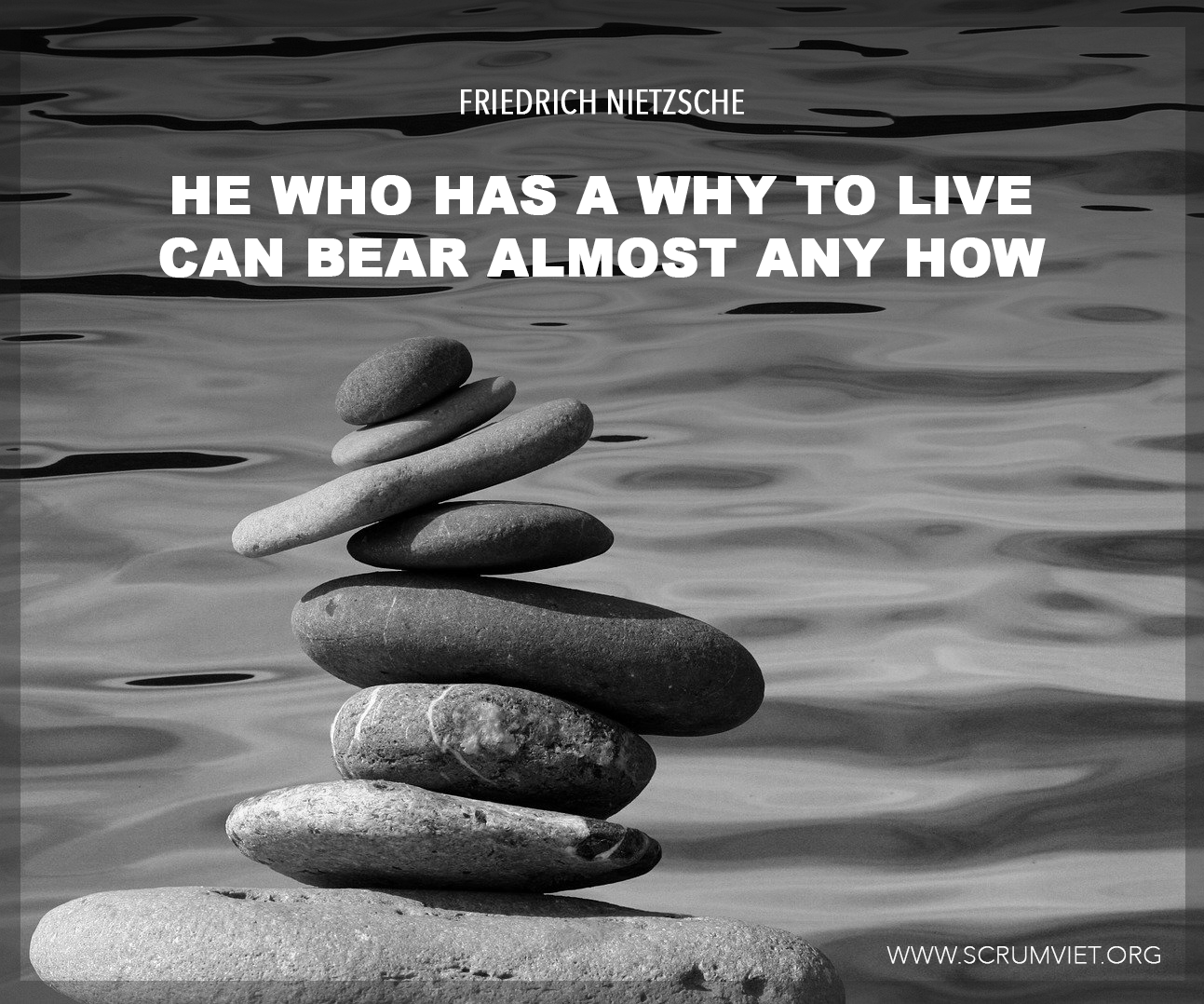 He who has a why to live can bear almost any how.